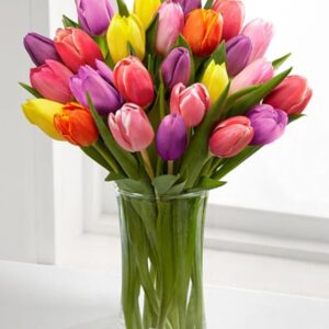 Colorful Tulips in Vase