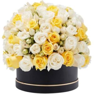Box of Sunshine
